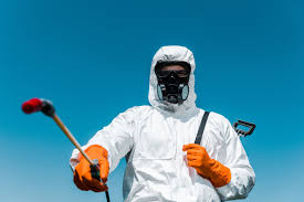 Best Termite Inspection and Treatment  in East Point, GA